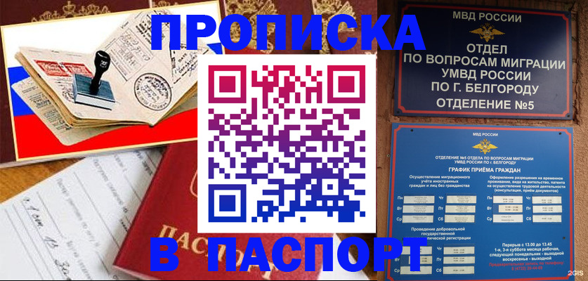купить прописку в Советске